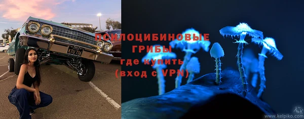 а пвп мука Алзамай