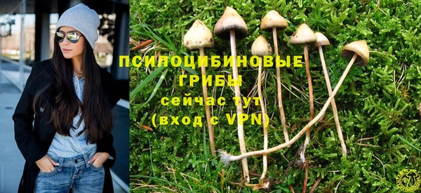 mix Алексин
