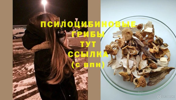 амф Алексеевка