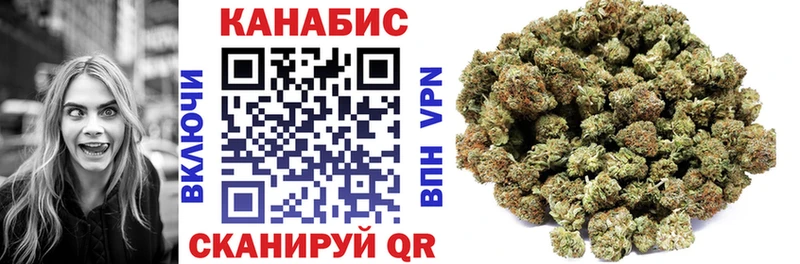 Каннабис планчик  купить закладку  Нововоронеж 